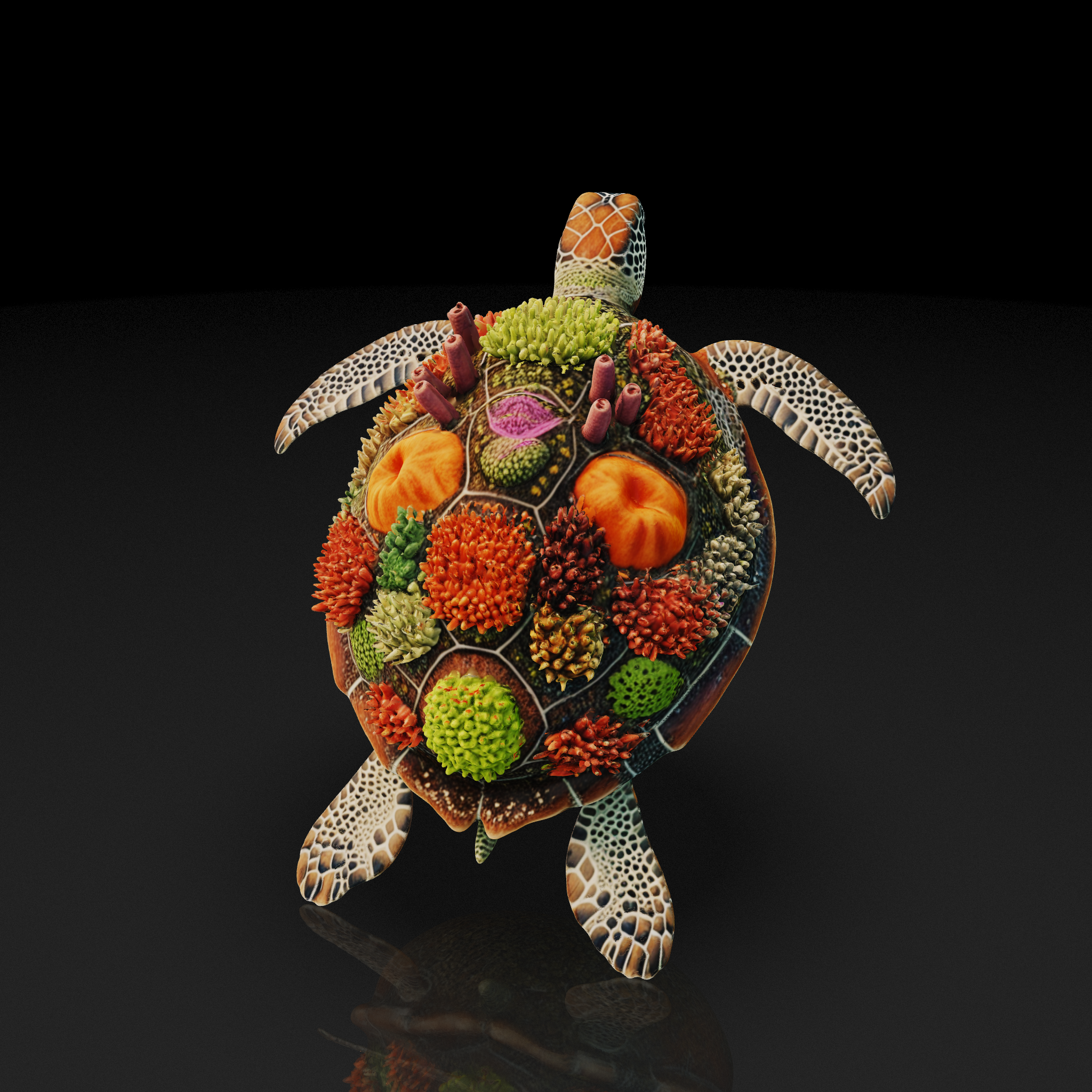 Coral Reef Turtle