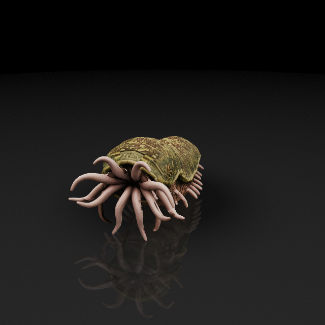 a worm like create. it's length less then 4 meters. diameter is less than 2 meters. it has more than 5 tentacles around mouth. it lives in forest. it has camouflage ability. and thick armored skin.