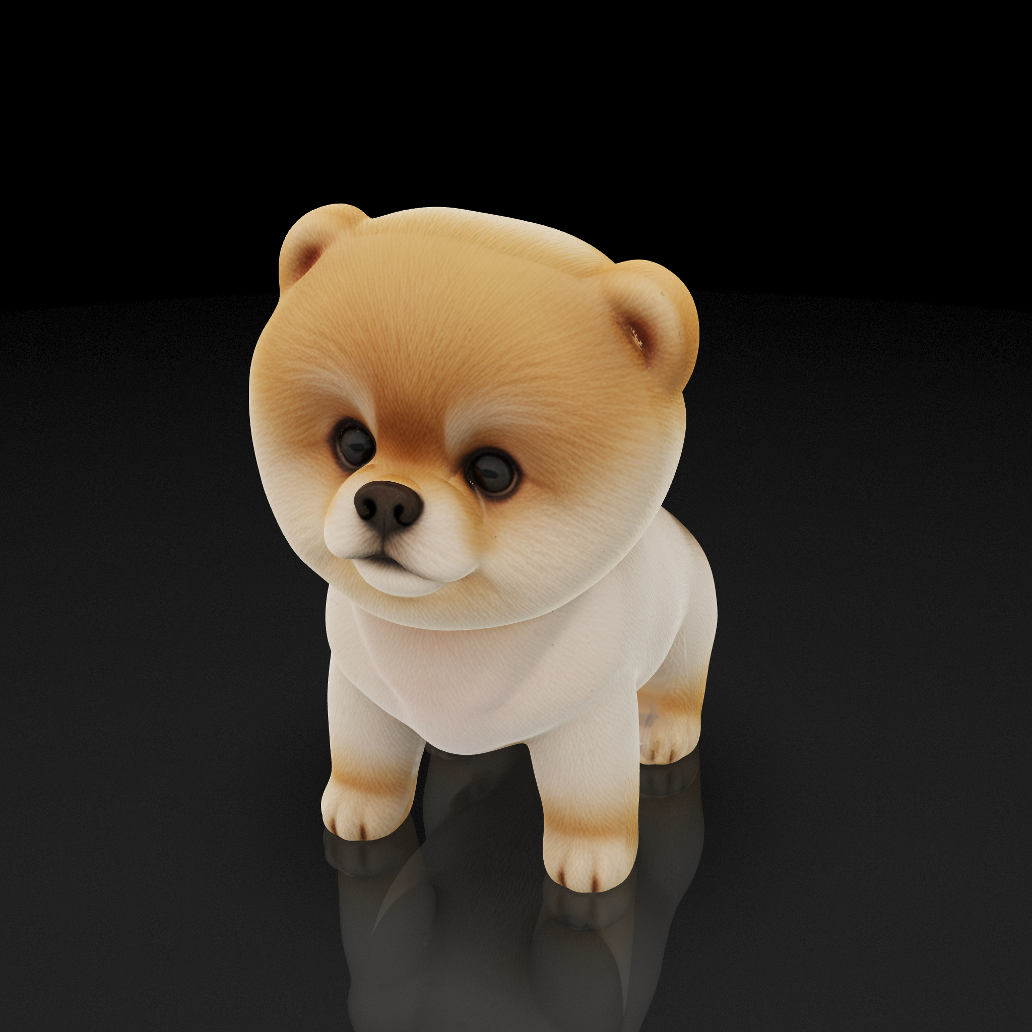 Cute Pomeranian Puppy