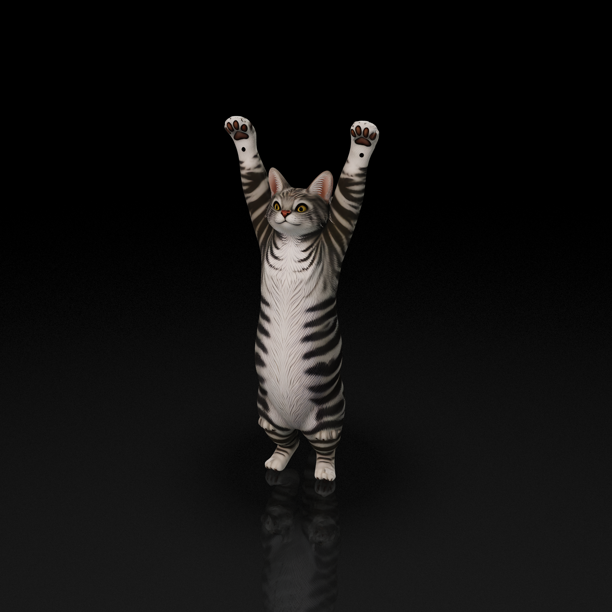 Reaching Tabby Cat