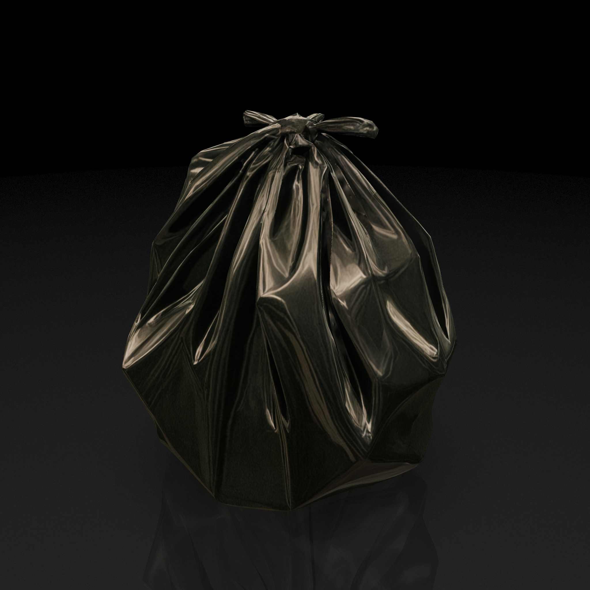 Black Garbage Bag