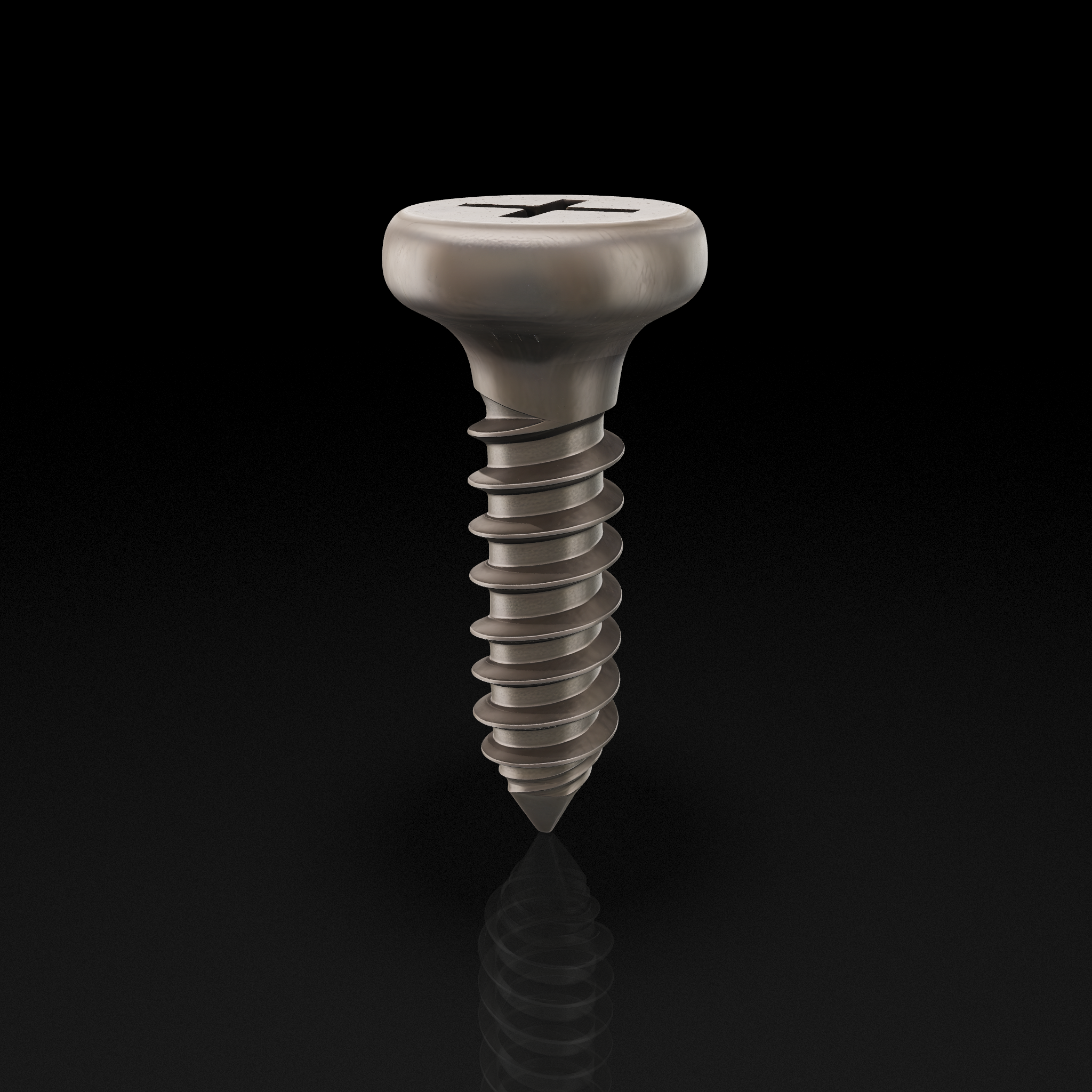 Metal Phillips Screw