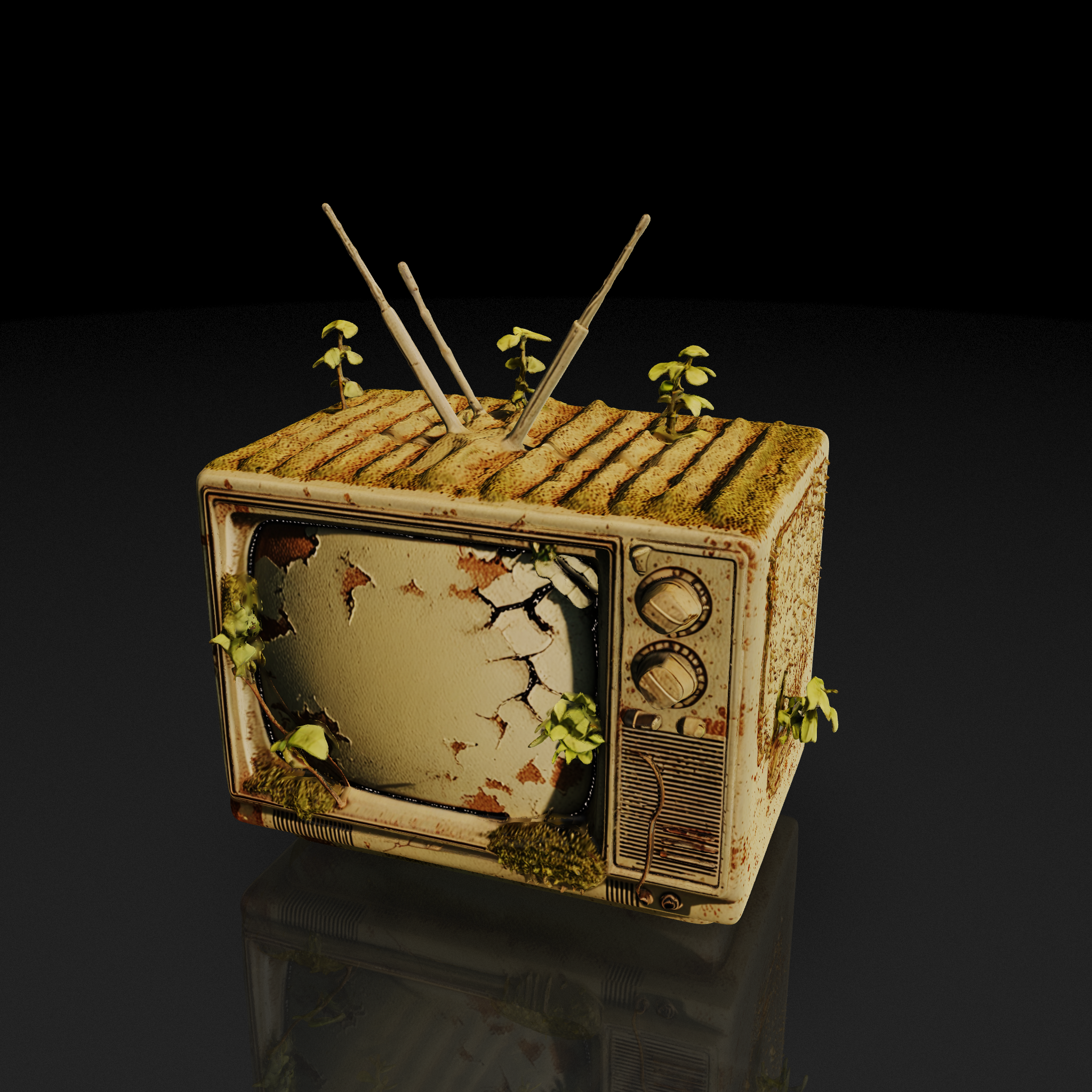 Overgrown Vintage Television