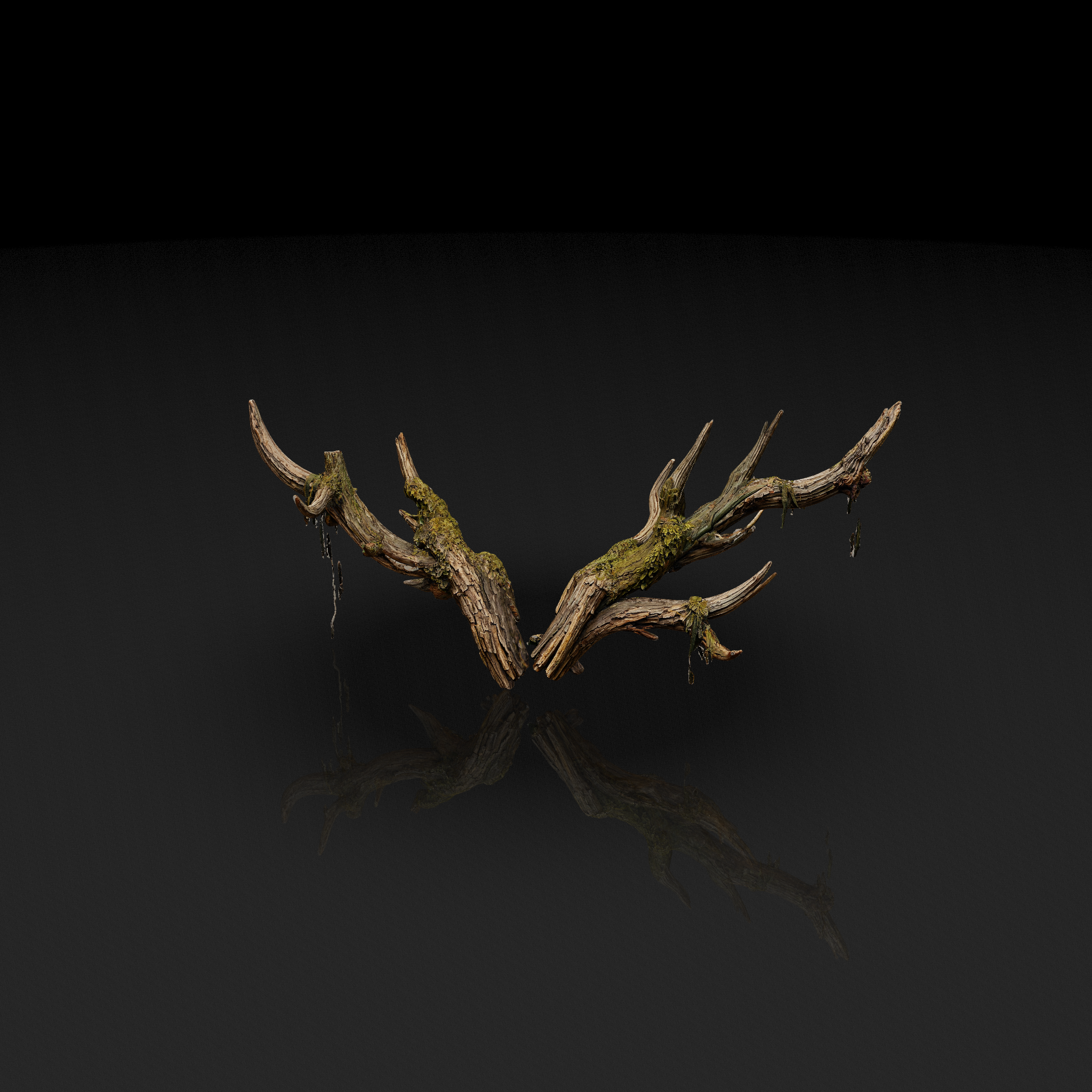Mossy Gnarled Deer Antlers