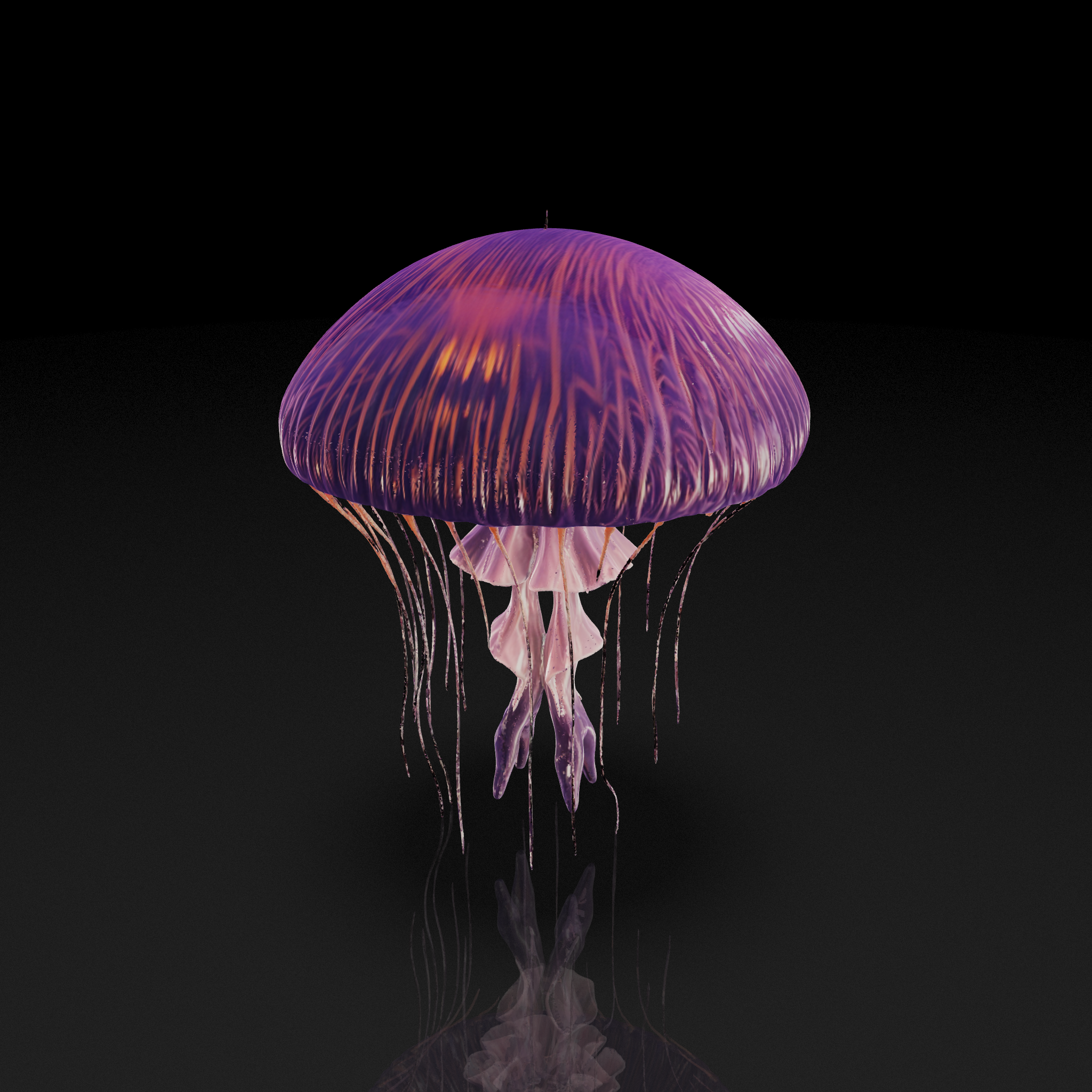 Translucent Purple Jellyfish
