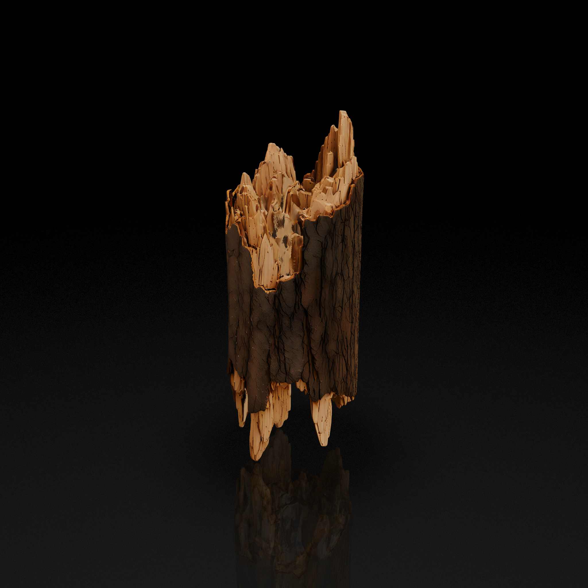 Splintered Wood Log