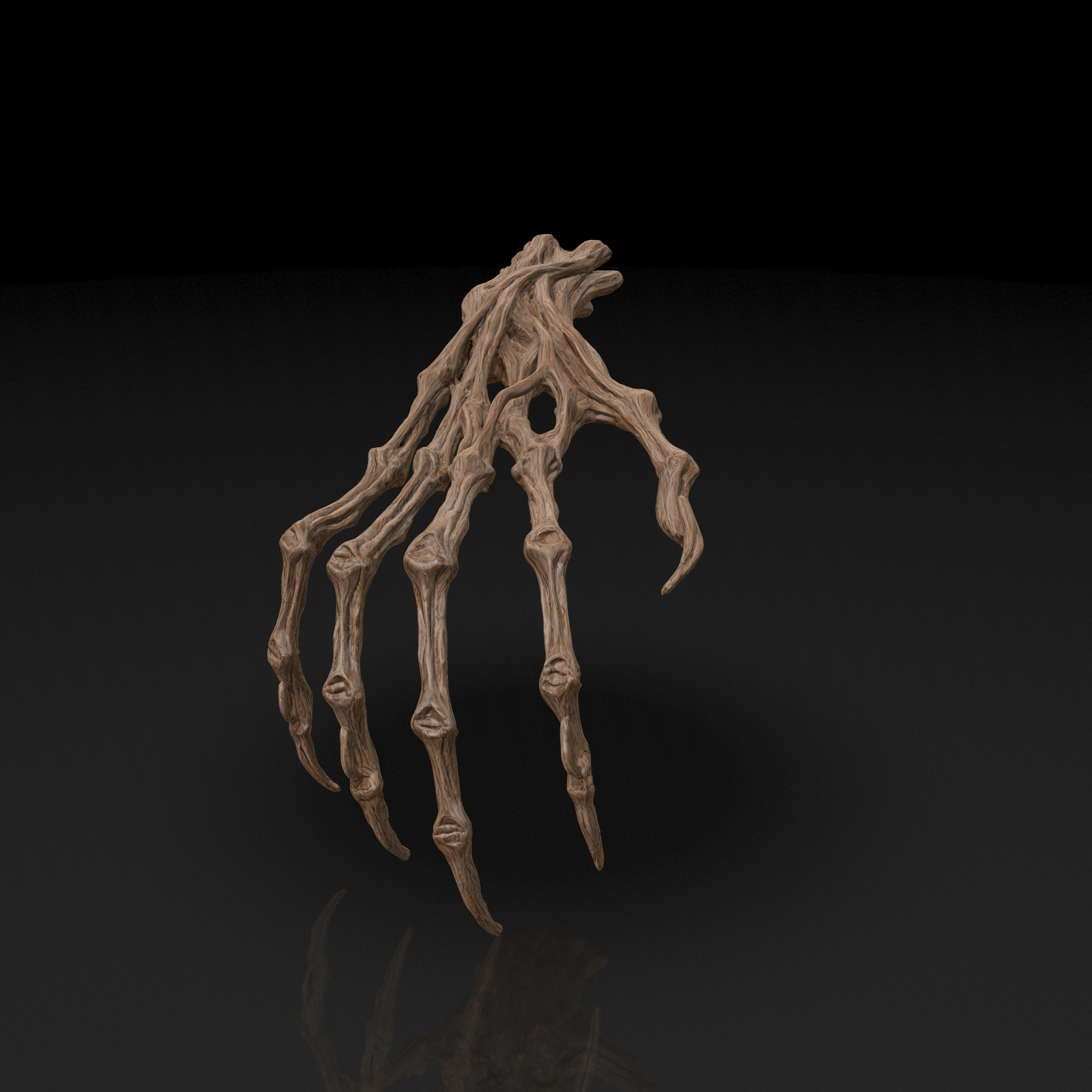 Gnarled Skeletal Hand - 3D model