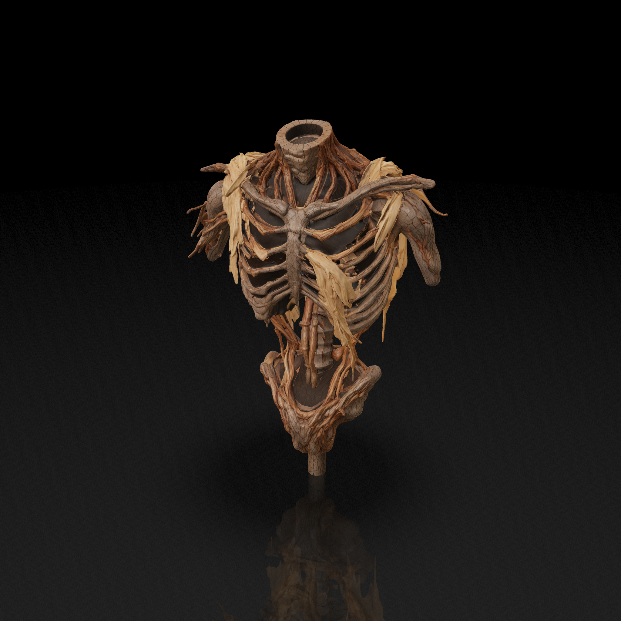 Undead Torso Model - 3D model