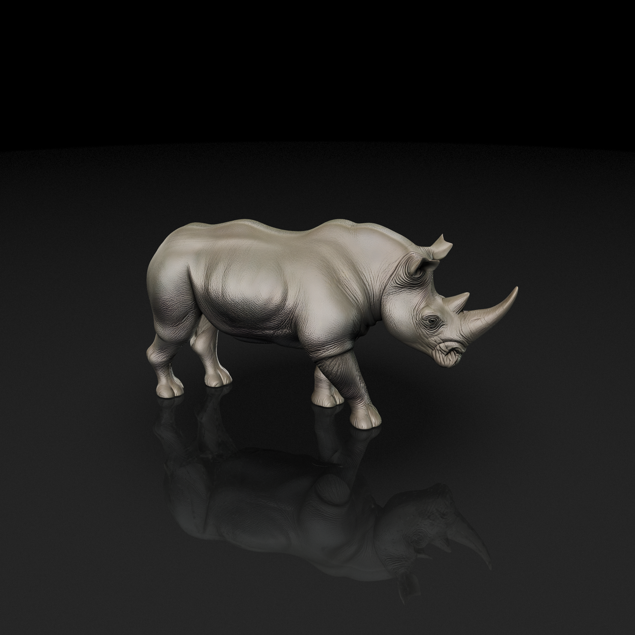Rhinoceros Model