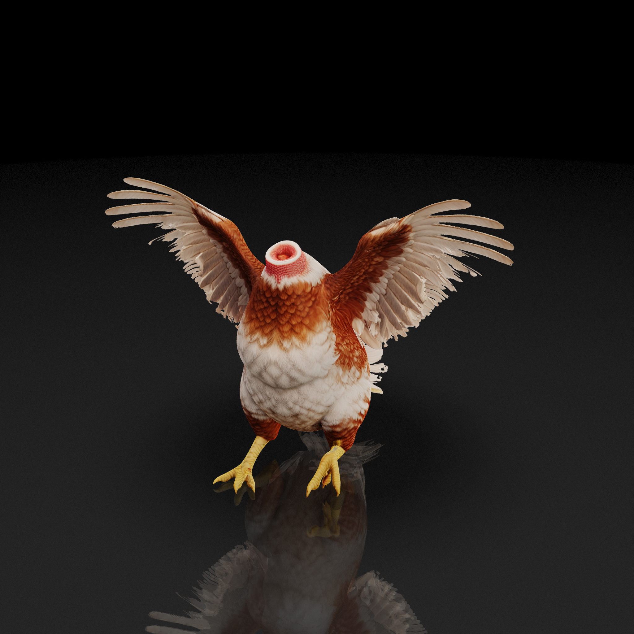 Headless Chicken Spread Wings