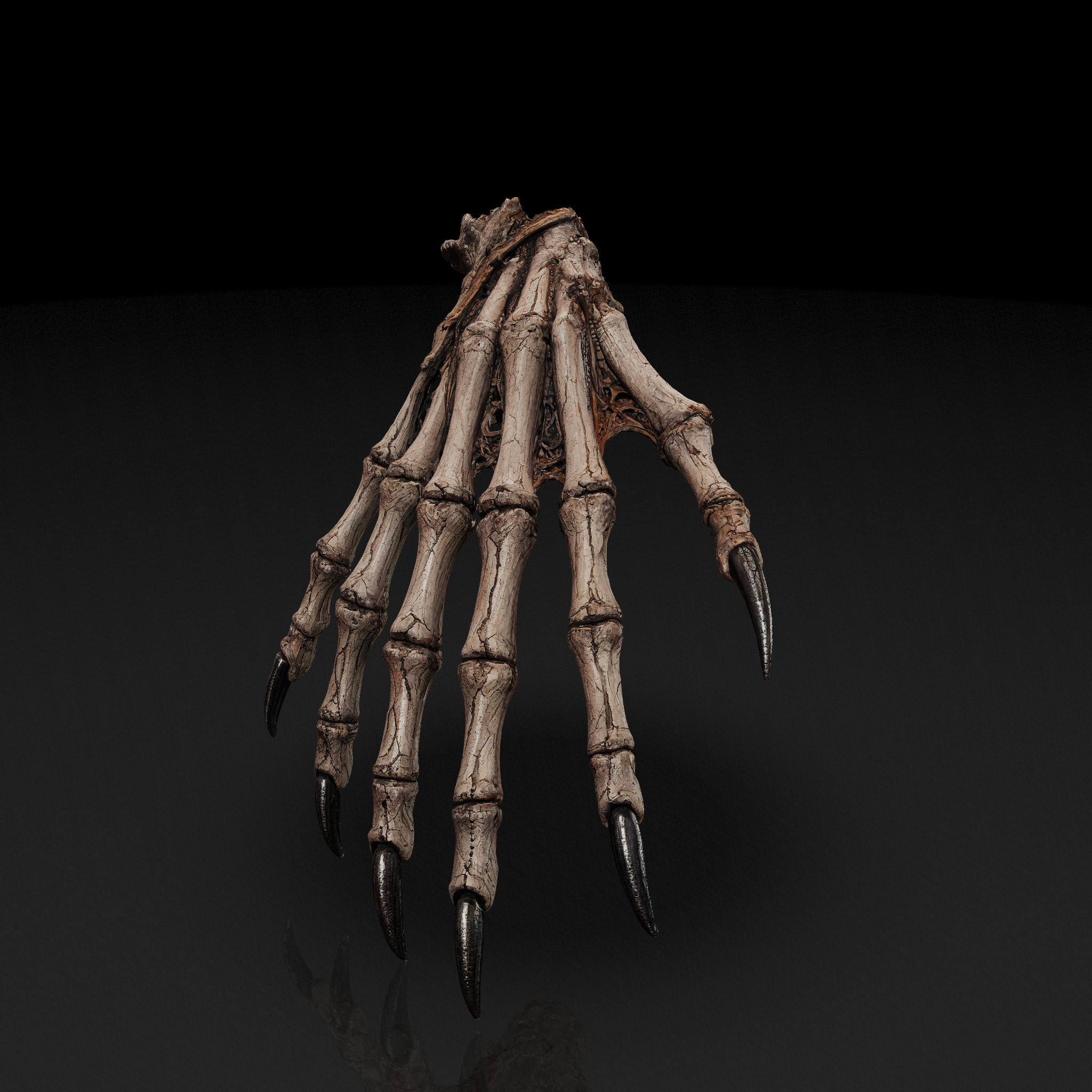 Skeletal Clawed Hand