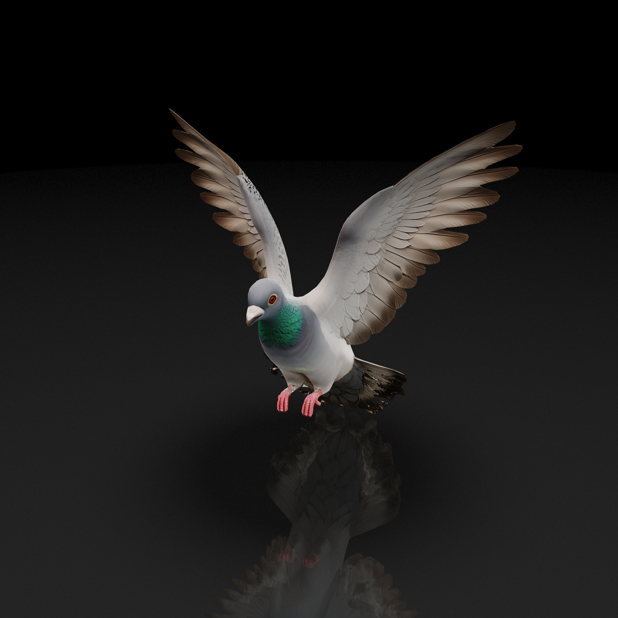 Flying Pigeon Model
