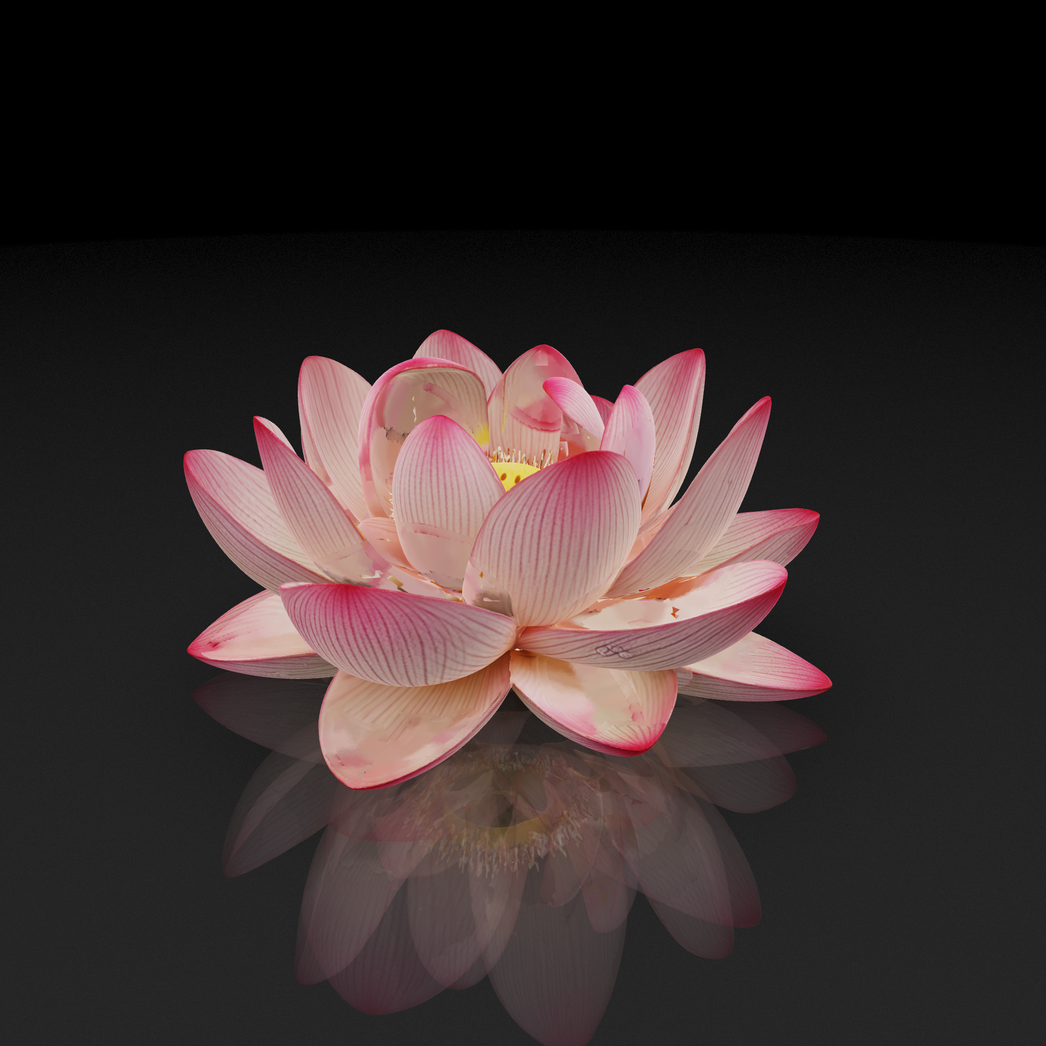 Pink Lotus Droplets