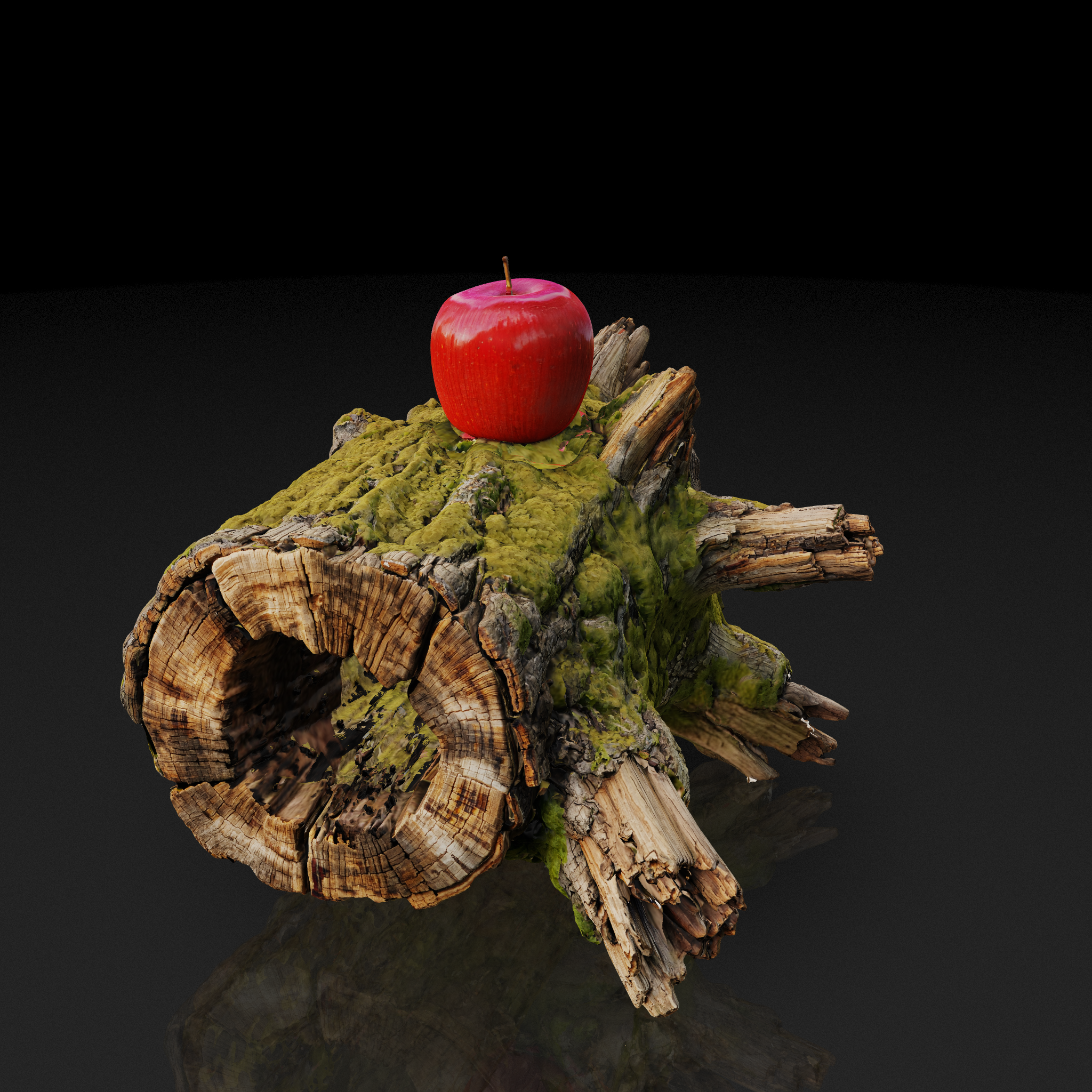 Mossy Log Apple